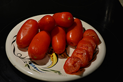 Health Kick Tomato (Solanum lycopersicum 'Health Kick') at The Green Spot Home & Garden