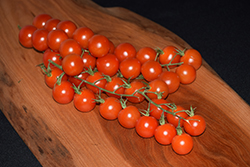 Rapunzel Tomato (Solanum lycopersicum 'Rapunzel') at The Green Spot Home & Garden